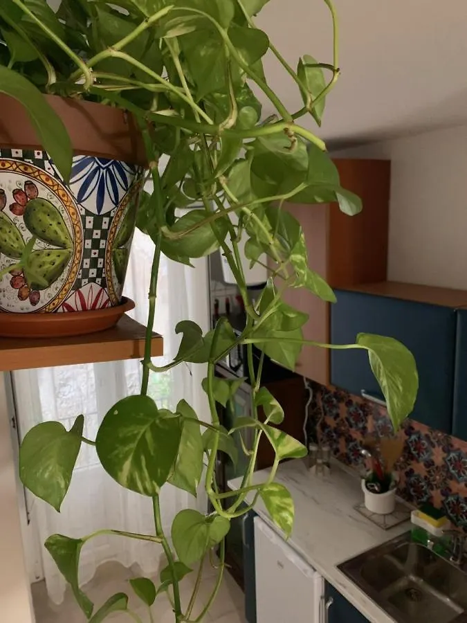 La Giara Apartment Palermo